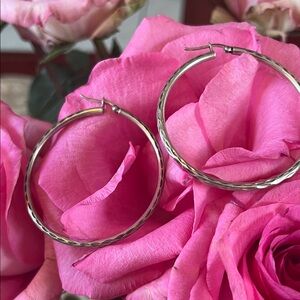 Elegant Silver Hoop Earrings